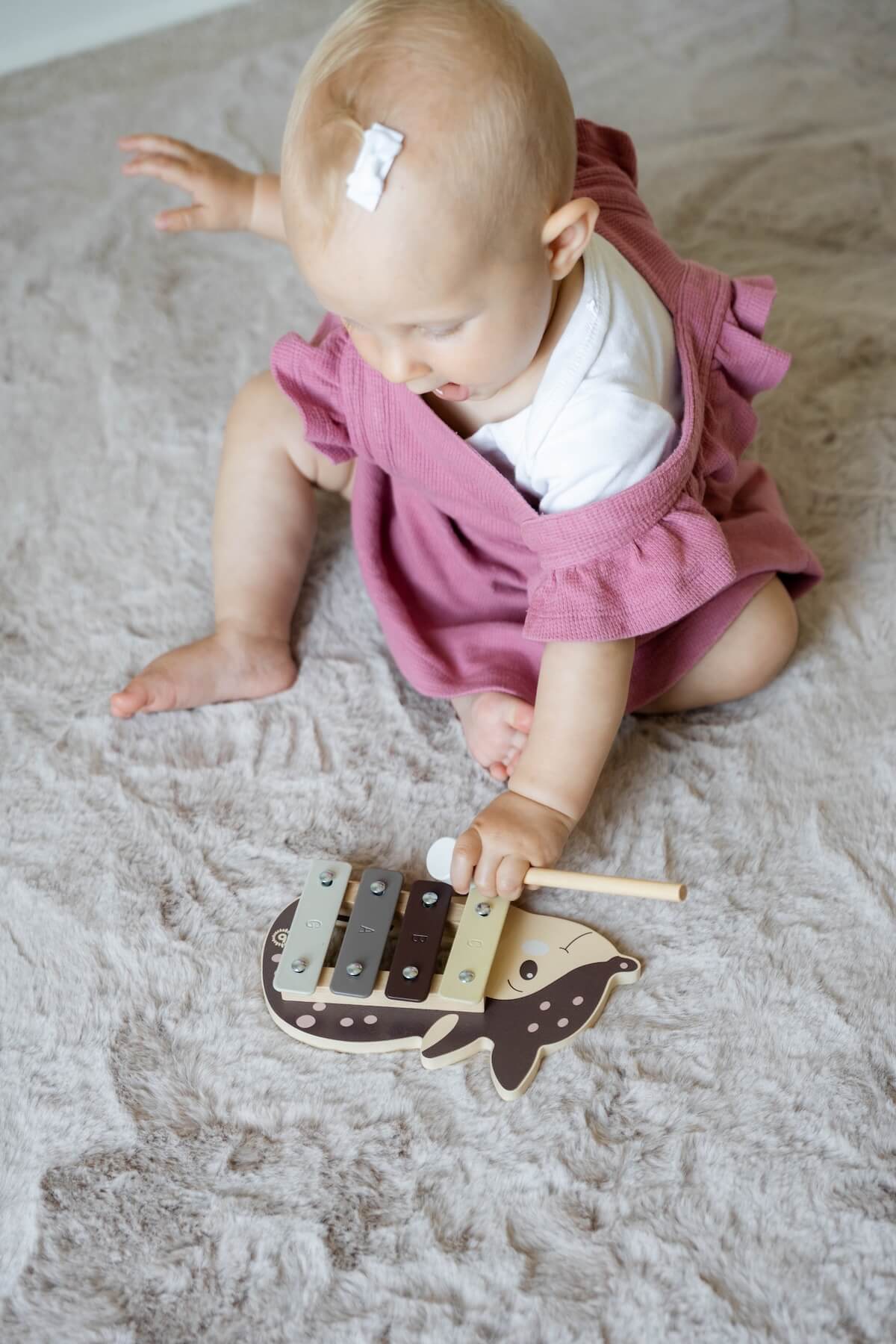 Premium Set: Weltentdecker