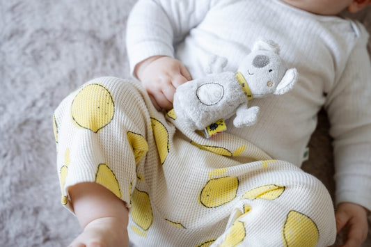 Premium Set: Greifen & Fühlen