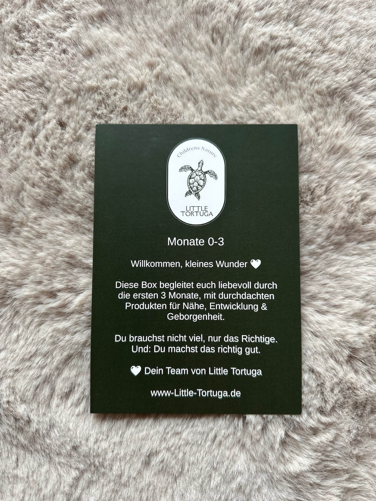 Little Tortuga Box 0–3 Monate
